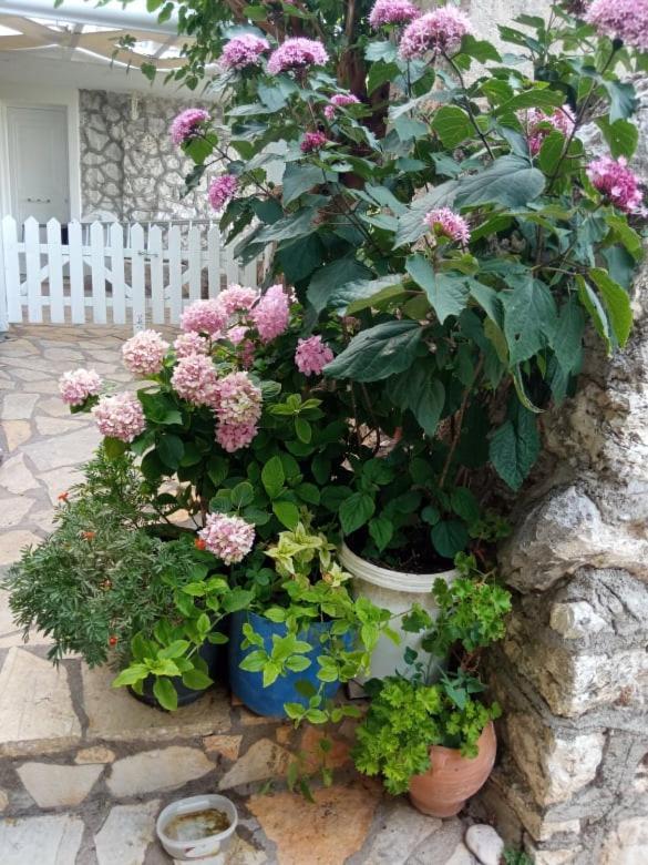 Lefki'S House Apartment Drymon ภายนอก รูปภาพ