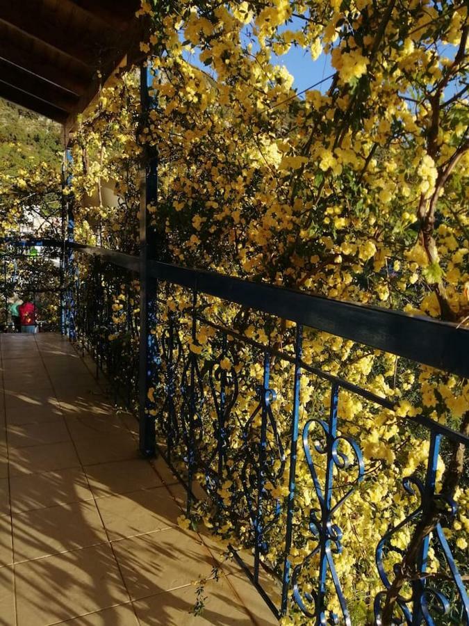 Lefki'S House Apartment Drymon ภายนอก รูปภาพ