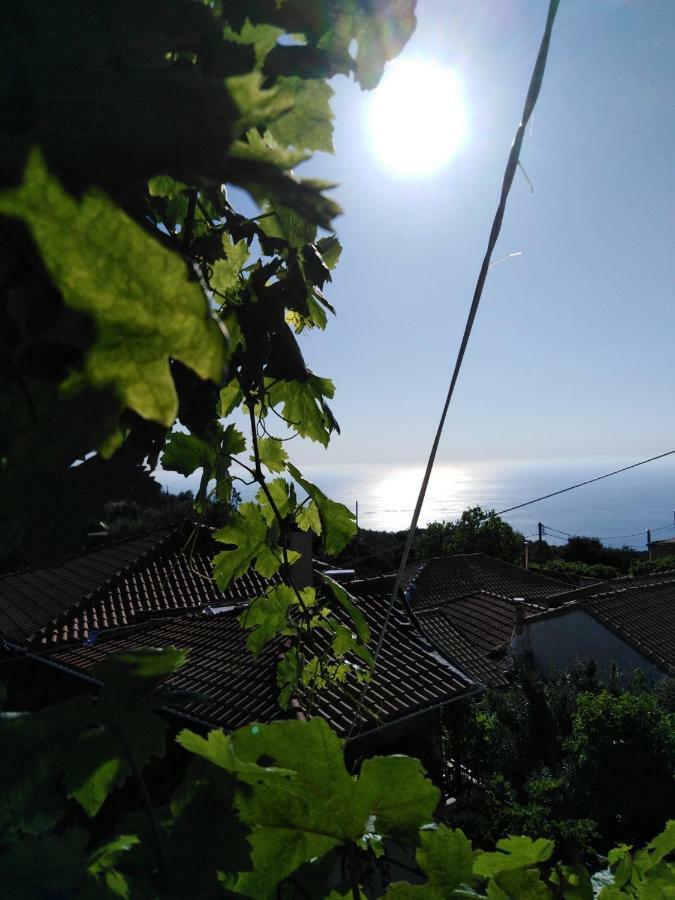Lefki'S House Apartment Drymon ภายนอก รูปภาพ