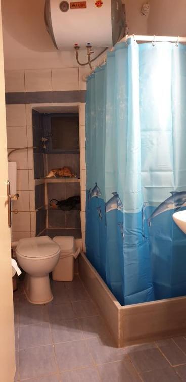 Lefki'S House Apartment Drymon ภายนอก รูปภาพ